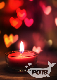 异世珍宝（强制NP）